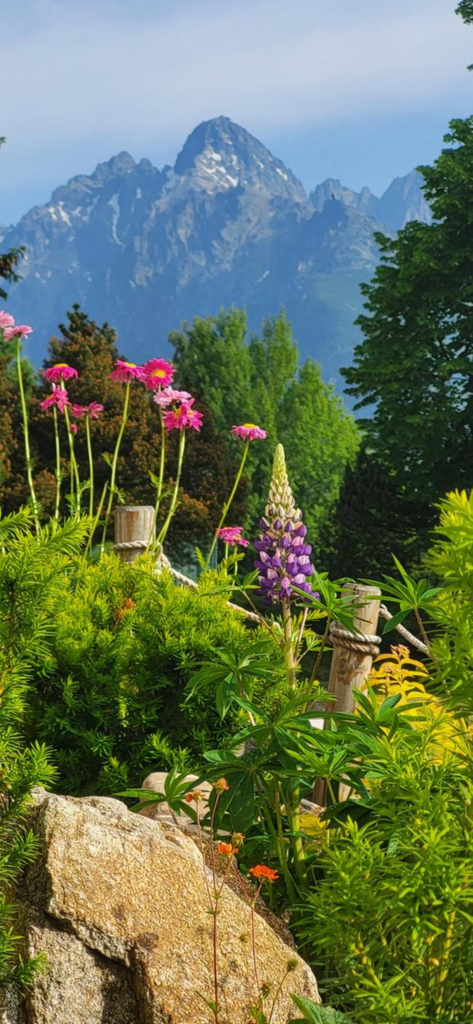Vila Kollar Vysoké Tatry Quarto foto